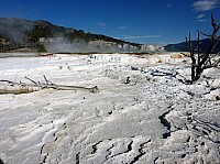 Yellowstone Mammoth Hotsprings (59).JPG